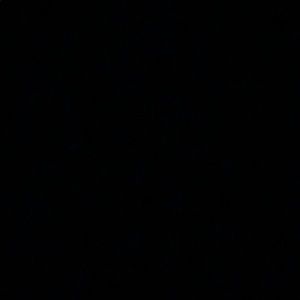 Meet your Posher, Dylan